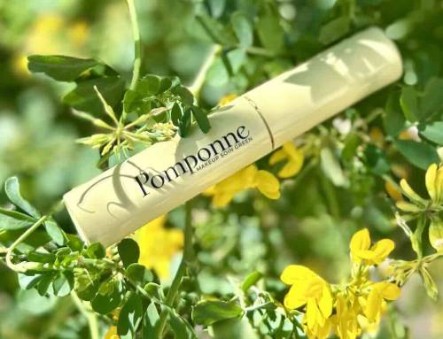 J&rsquo;ai testé l&rsquo;anti-cernes 2 en 1 Pomponne Make-Up