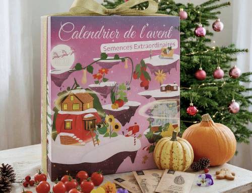Calendrier de l’Avent Dr. Jonquille & Mr. Ail 2026 : un Noël à semer !
