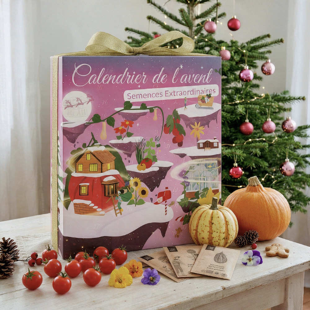 Découvrez le calendrier de l’Avent Dr Jonquille 2026 : 24 sachets de graines bio pour cultiver légumes, aromates et fleurs comestibles.